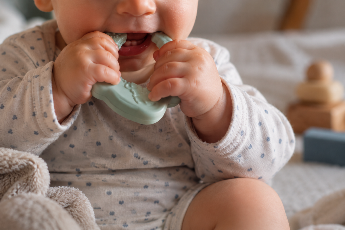 Dientes del bebé: cuándo salen, síntomas y cuidado del primer diente